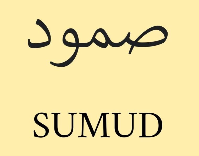 ASSISTENZIALISMO ≠ SUMUD 